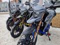  мотоцикл TEKKEN 300 R LINE PRO 2024 года за 1 030 000 тг. в Актобе – фото 34