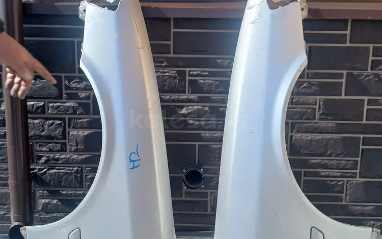 Крылья Чайзерүшін10 000 тг. в Усть-Каменогорск