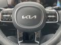 Kia Sorento 2024 года за 21 500 000 тг. в Костанай – фото 12