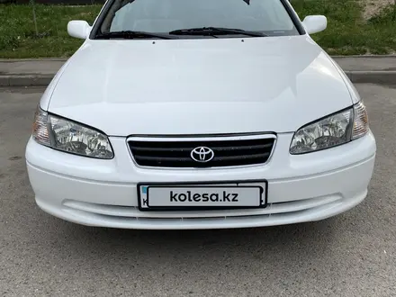 Toyota Camry 2000 года за 3 400 000 тг. в Алматы