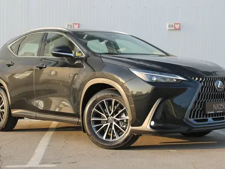 Lexus NX 250 Executive 2026 года за 33 890 000 тг. в Актау – фото 18