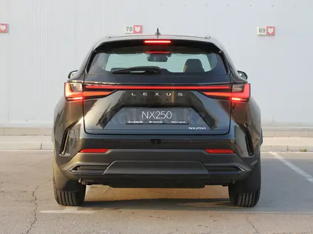 Lexus NX 250 Executive 2026 года за 33 890 000 тг. в Актау – фото 4