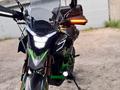 Fuego  Tekken 250 2024 года за 850 000 тг. в Павлодар – фото 22