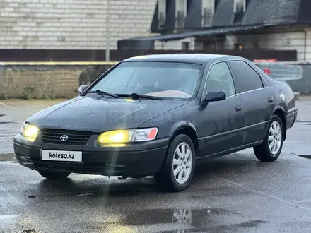 Toyota Camry 1998 года за 2 250 000 тг. в Алматы