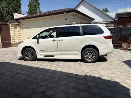 Toyota Sienna 2020 года за 22 500 000 тг. в Алматы – фото 9