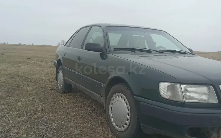 Audi 100 1992 года за 2 150 000 тг. в Павлодар