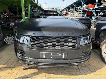 Ноускат за 5 000 тг. в Алматы