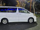 Toyota Alphard 2006 года за 8 200 000 тг. в Туркестан – фото 4