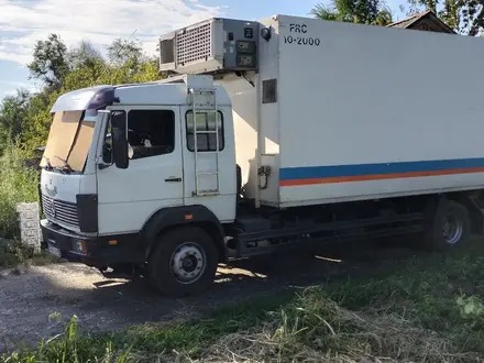 Mercedes-Benz 1994 года за 9 500 000 тг. в Сарканд