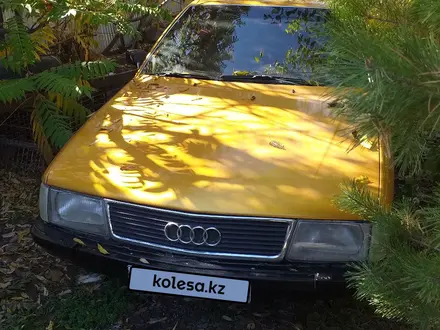 Audi 100 1984 года за 1 100 000 тг. в Кордай – фото 9