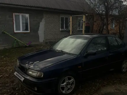 Nissan Primera 1995 года за 500 000 тг. в Кокшетау – фото 4