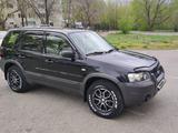 Ford Escape 2005 годаүшін4 900 000 тг. в Усть-Каменогорск – фото 3