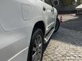 Lexus LX 570 2011 года за 18 000 000 тг. в Алматы – фото 19