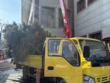 Isuzu  Elf (N-series) 2007 года за 10 500 000 тг. в Алматы