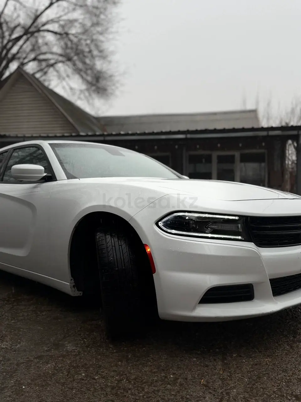 Dodge Charger, 2020