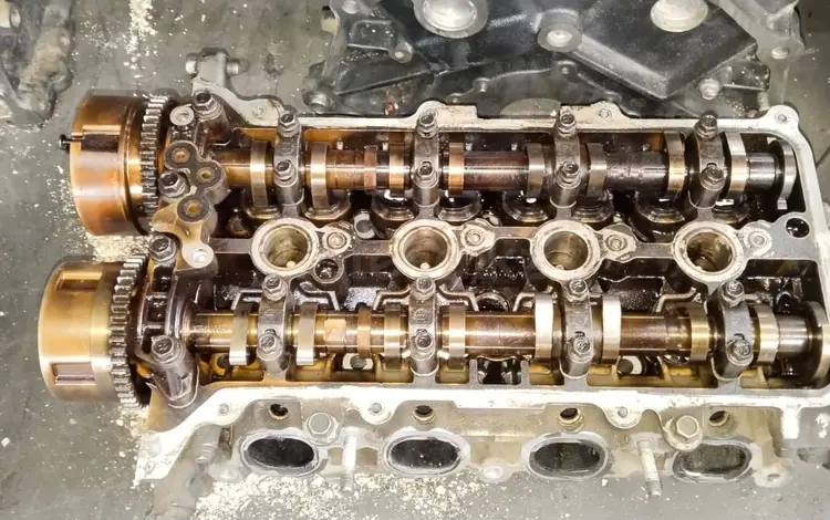 Галопка за 70 000 тг. в Алматы