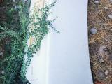 Крышка богажникаүшін25 000 тг. в Шымкент – фото 3