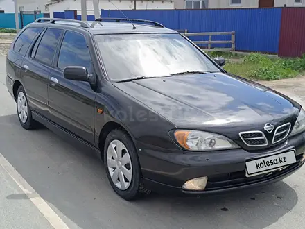 Nissan Primera 2001 годаүшін2 100 000 тг. в Атырау – фото 3