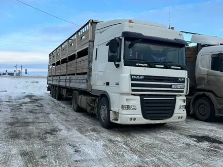 DAF  XF 105 2008 года за 18 000 000 тг. в Актобе – фото 6