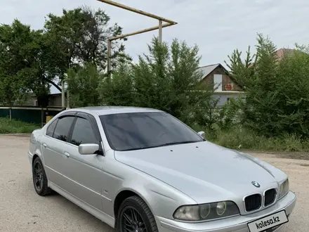BMW 525 2002 года за 5 500 000 тг. в Алматы – фото 33