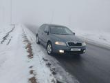 Skoda Octavia 2006 года за 2 700 000 тг. в Актобе – фото 5