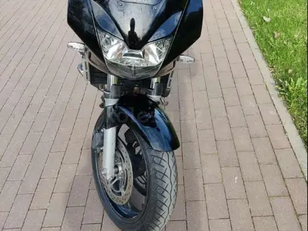 Honda  Hornet 600 2002 года за 1 500 000 тг. в Петропавловск – фото 4