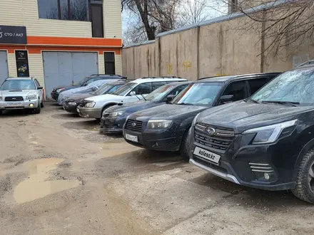 Subaru Forester 2006 года за 5 550 000 тг. в Шымкент – фото 8