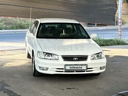 Toyota Camry 2000 года за 4 800 000 тг. в Шымкент