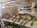Привода 2TR 1KD 1GD 2UZ 1GR 1UR 1FZ 3UR передний задний редуктор гранаты за 75 000 тг. в Алматы – фото 20
