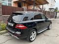 Mercedes-Benz ML 350 2015 годаfor17 500 000 тг. в Алматы – фото 9