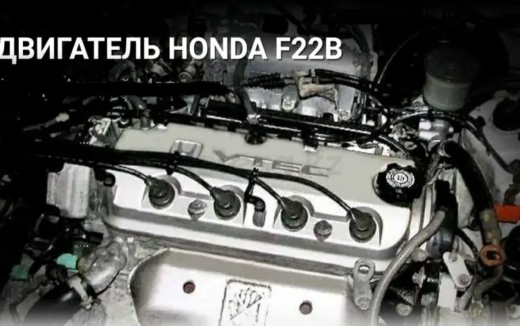 Двигатель F22B VTEC на Honda Хонда за 220 000 тг. в Алматы