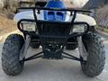 Polaris  TrailBoss330 2011 годаүшін3 500 000 тг. в Алматы – фото 11