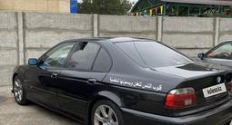 BMW 528 1998 годаүшін4 200 000 тг. в Тараз – фото 3