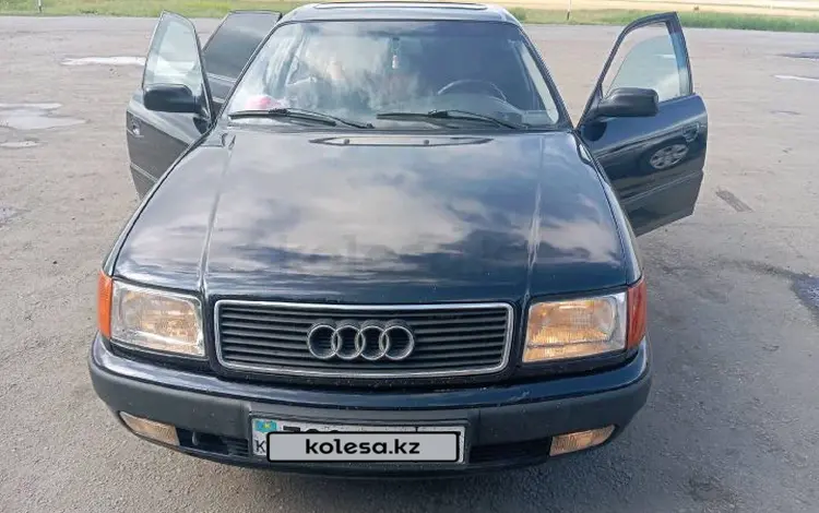 Audi 100 1991 годаүшін2 300 000 тг. в Сергеевка