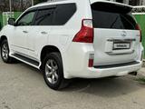 Lexus GX 460 2013 года за 17 000 000 тг. в Алматы – фото 5