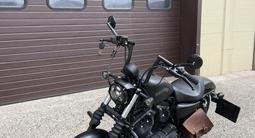 Harley-Davidson  Sporster 883 Iron 2014 года за 6 500 000 тг. в Астана – фото 2