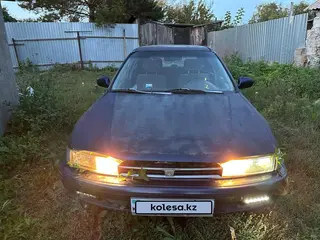 Honda Accord, 1993