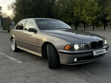 BMW 528 2000 года за 4 450 000 тг. в Тараз – фото 18