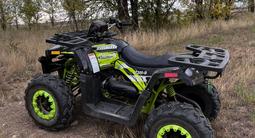 Tao Motor  200 Lux 2023 года за 680 000 тг. в Уральск – фото 5