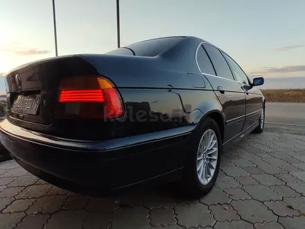BMW 525 2001 года за 3 900 000 тг. в Астана – фото 4