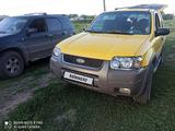 Ford Escape 2001 годаүшін4 000 000 тг. в Атбасар – фото 5