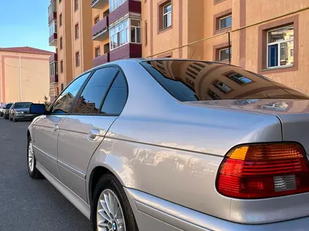 BMW 525 2002 года за 4 700 000 тг. в Шымкент – фото 3