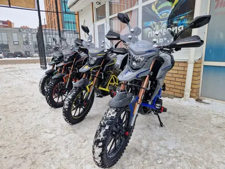  мотоцикл TEKKEN 300 R LINE PRO 2024 года за 1 030 000 тг. в Алматы – фото 26