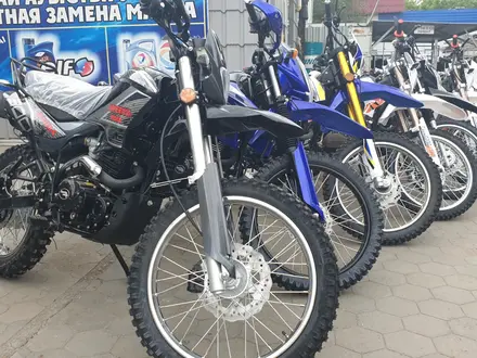  мотоцикл TEKKEN 300 R LINE PRO 2024 года за 1 030 000 тг. в Алматы – фото 41