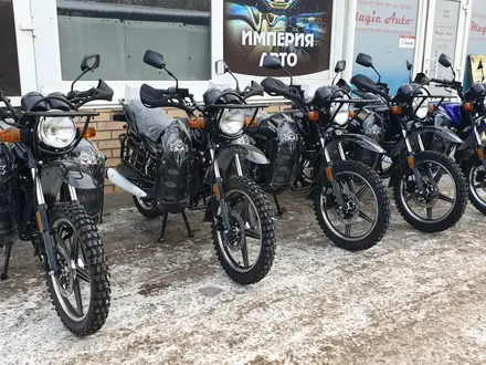  мотоцикл TEKKEN 300 R LINE PRO 2024 года за 1 030 000 тг. в Алматы – фото 79