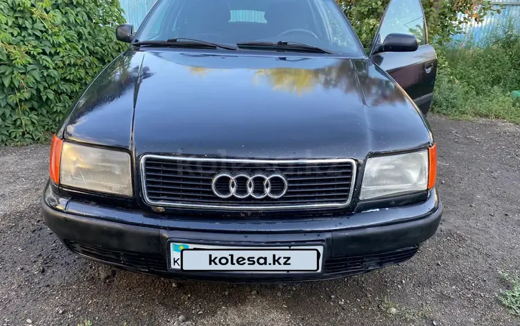 Audi 100 1993 года за 1 700 000 тг. в Талдыкорган