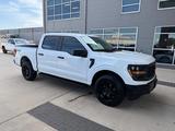 Ford F-Series 2024 годаүшін23 500 000 тг. в Алматы