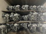 ДВИГАТЕЛИ 3GR-FE, 4GR-FE TOYOTA, LEXUS ДВС (2AZ/2AR/1MZ/3MZ/2GR/3GR/4GR/VQ3 за 75 000 тг. в Алматы – фото 3