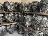 ДВИГАТЕЛИ 3GR-FE, 4GR-FE TOYOTA, LEXUS ДВС (2AZ/2AR/1MZ/3MZ/2GR/3GR/4GR/VQ3 за 75 000 тг. в Алматы – фото 4