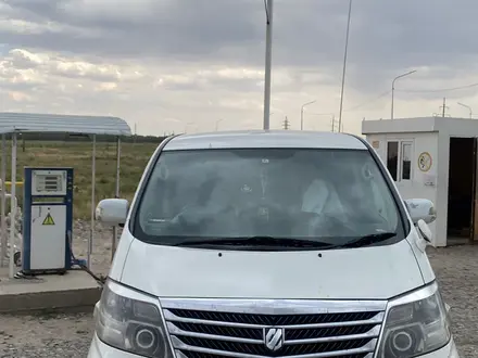 Toyota Alphard 2007 года за 5 750 000 тг. в Кызылорда – фото 9